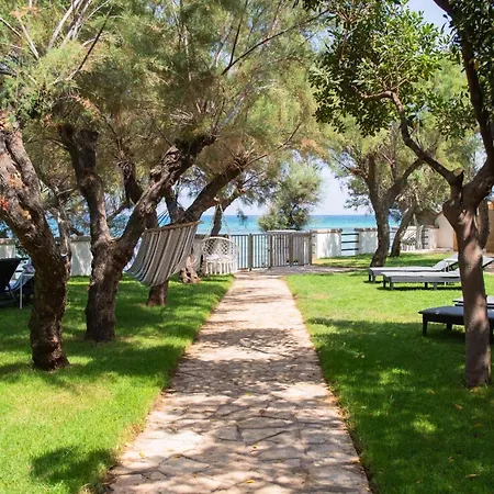 Aurelia Sea View 4* 托雷坎内