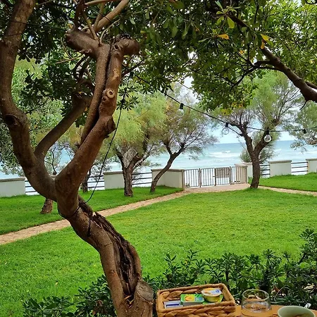 住宿加早餐酒店 Aurelia Sea View