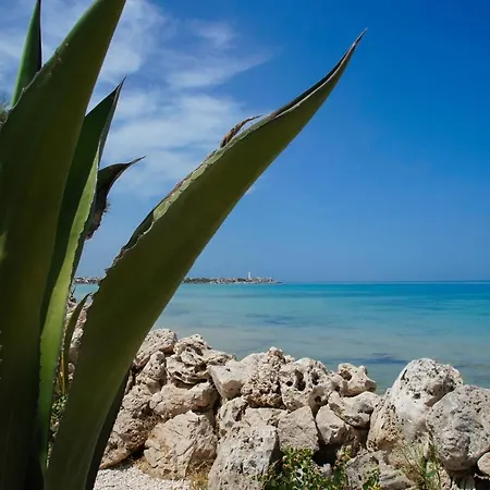 Alojamento de Acomodação e Pequeno-almoço Aurelia Sea View Torre Canne