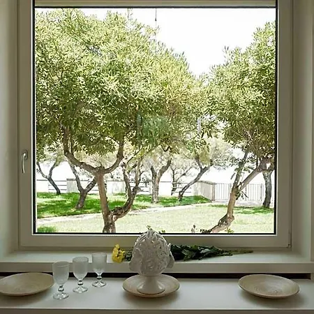 Aurelia Sea View B&B 토레깐느