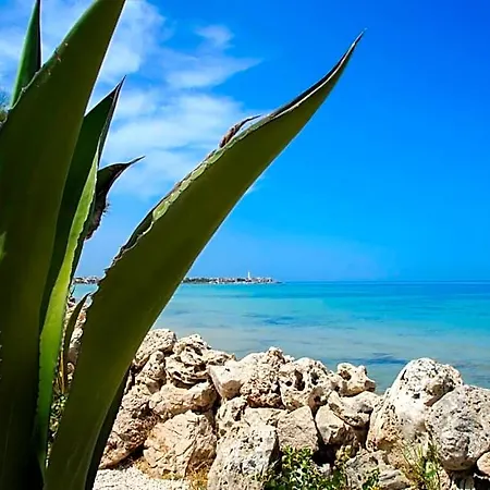 Aurelia Sea View 4*