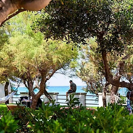Aurelia Sea View B&B 토레깐느