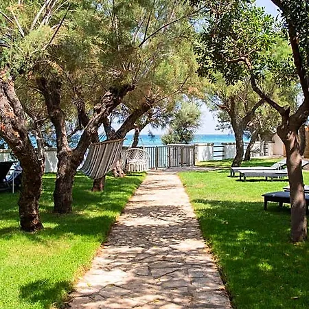 Aurelia Sea View B&B 토레깐느