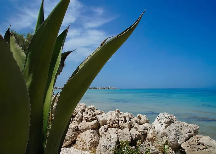 Nocleg ze śniadaniem Aurelia Sea View Torre Canne